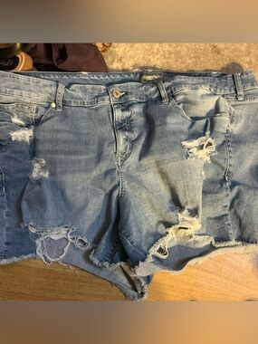 torrid Light Wash Distressed Denim Jean Shorts